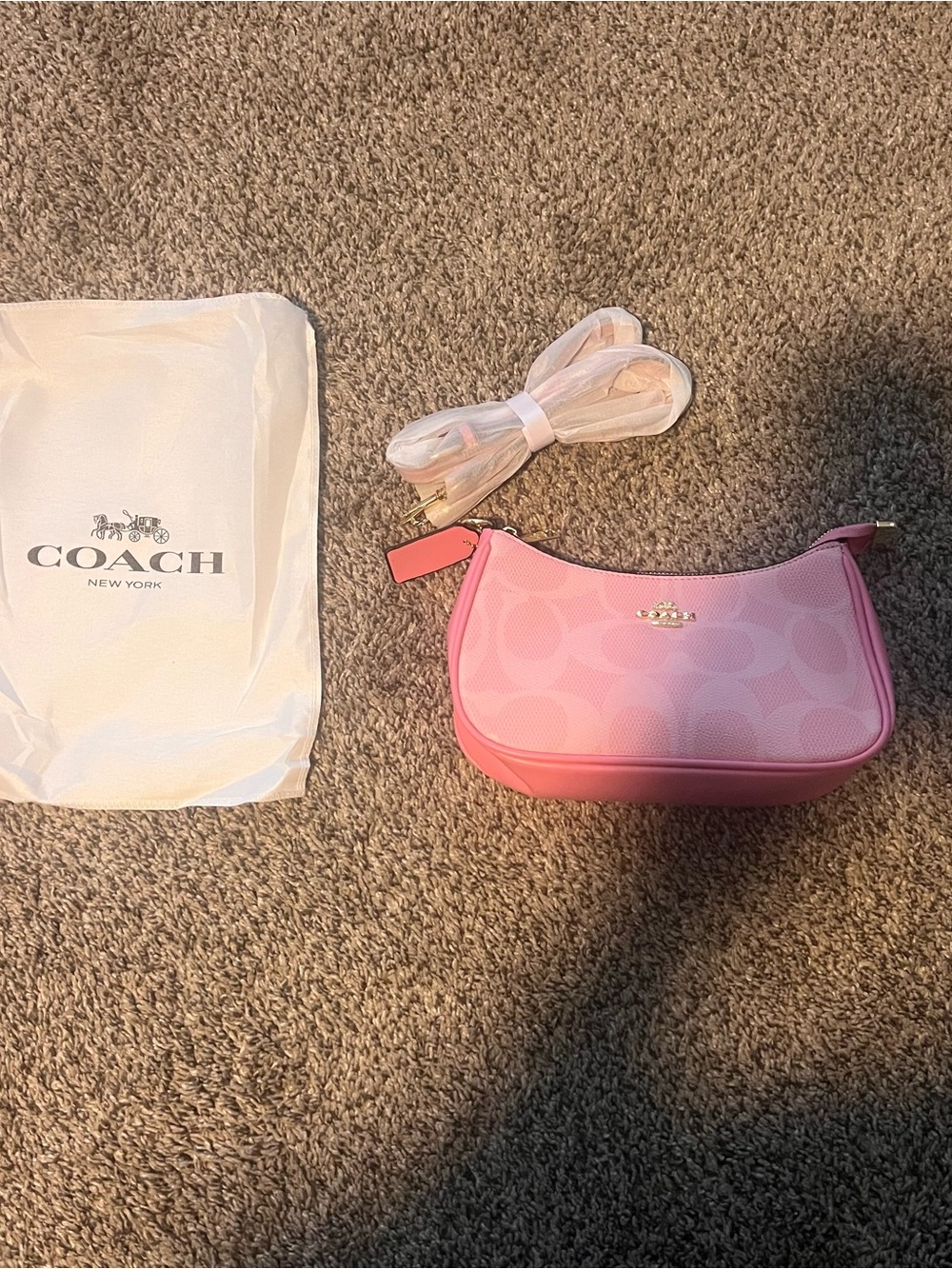 Coach Pink Signature Mini Hobo Crossbody
